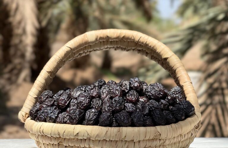 Ajwa Al Madina 2