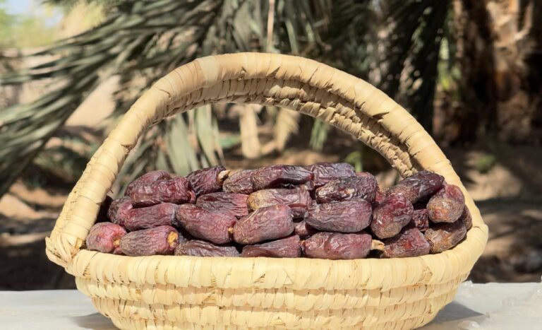 Amber Al Madinah 2