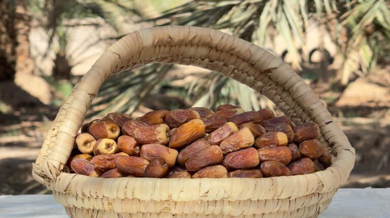 Sagai Dates Madina