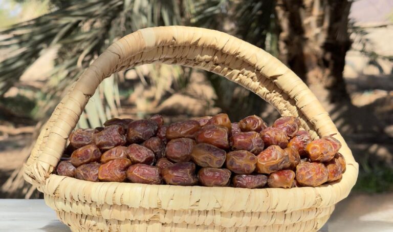 Rabia Dates