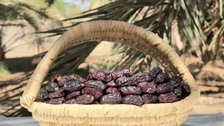 Safawi Dates